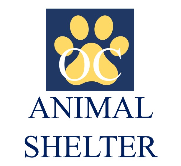 Animal Shelter.jpg